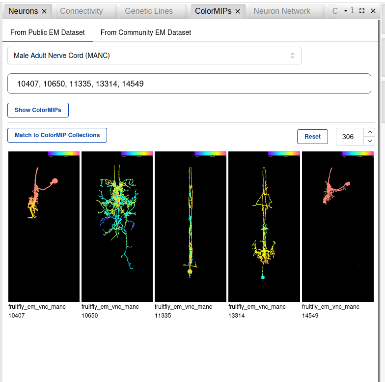 ColorMIP Matching Widget