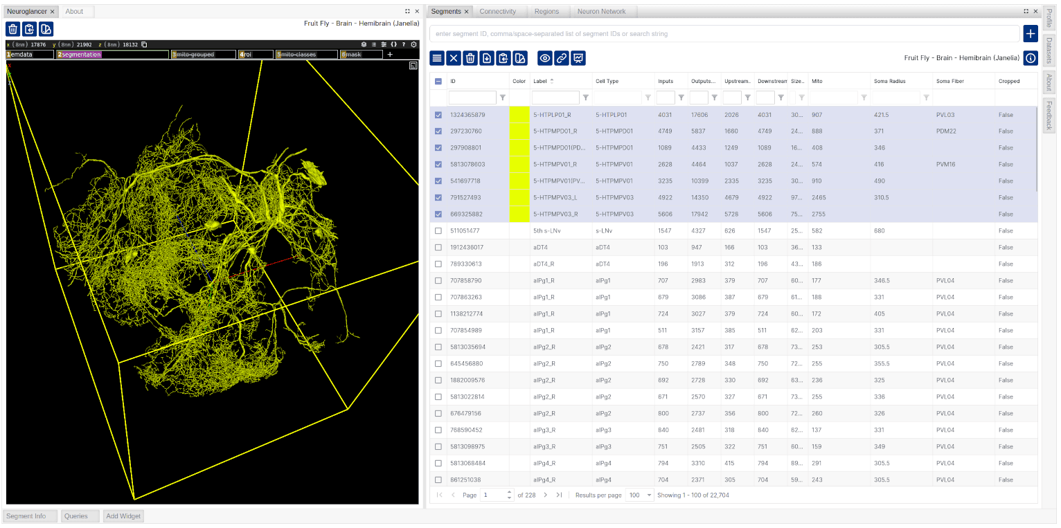 Filter neurons based on available properties and visualize their color-coded morphology in 3D