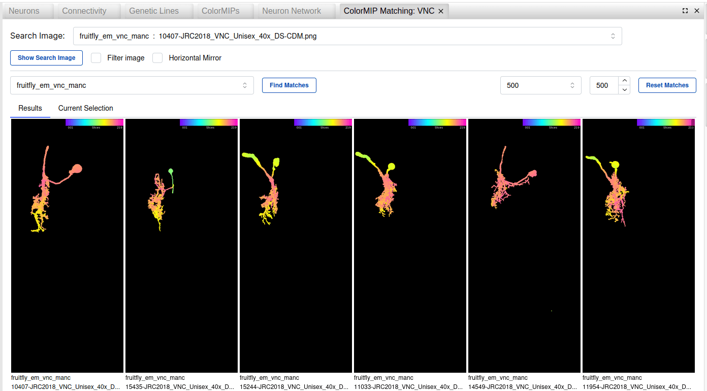 ColorMIP Matching Widget