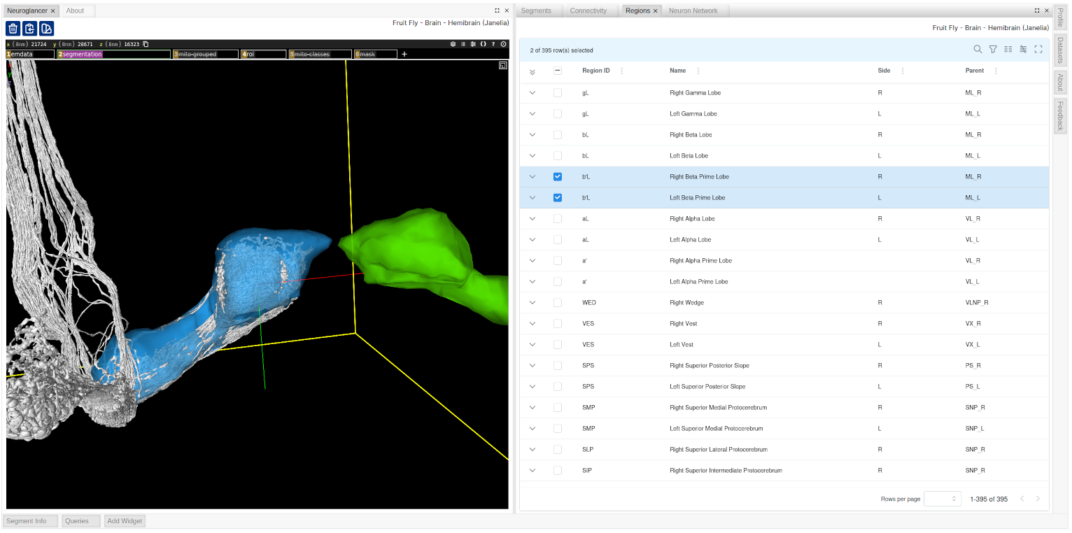 Find and select regions of interest and toggle mesh visibility in 3D
