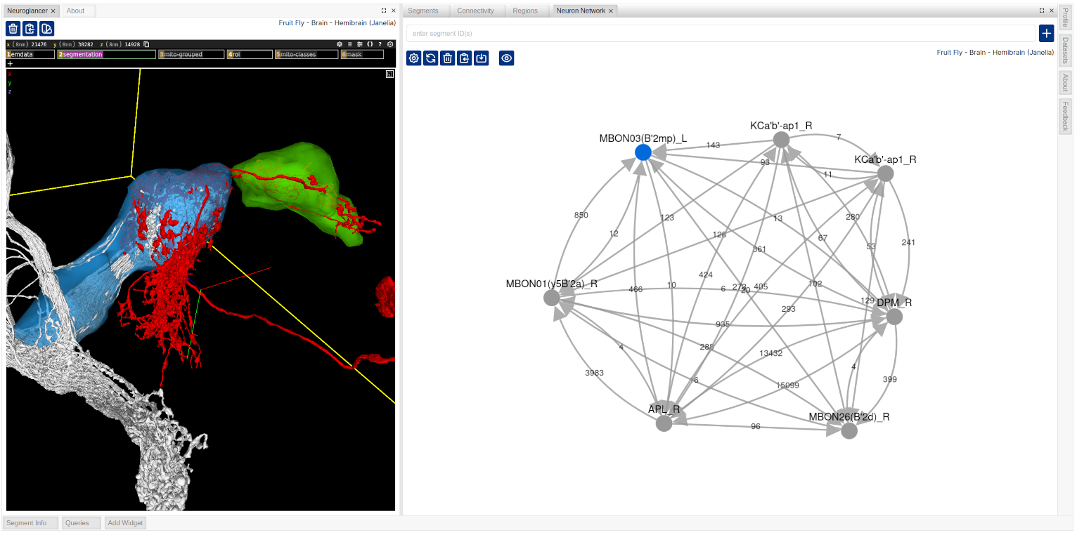 Visualize neuron network graphs and highlight nodes in the network in 3D